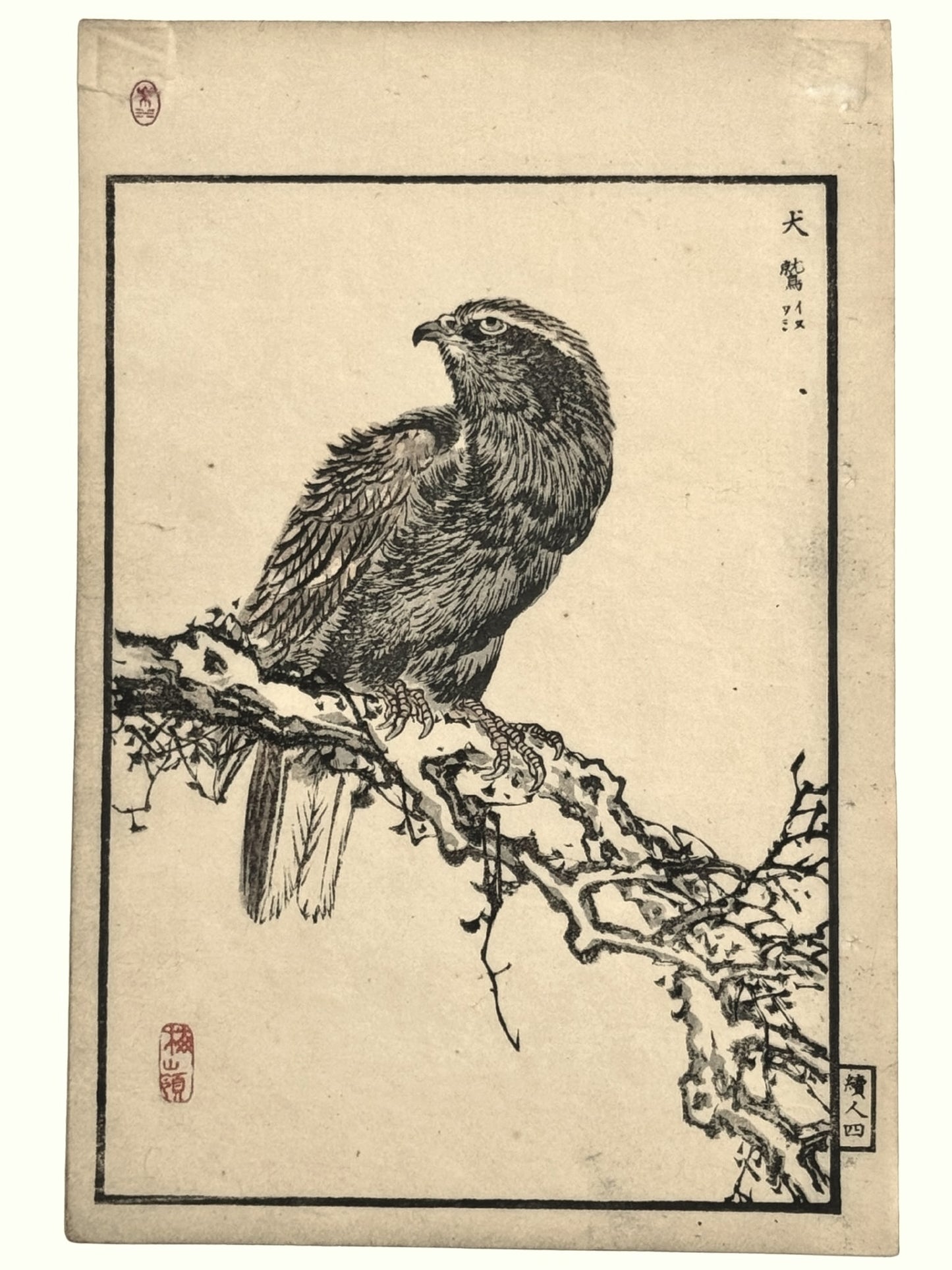 Estampe Japonaise Encadrée de Kono Bairei, Faucon sur une branche