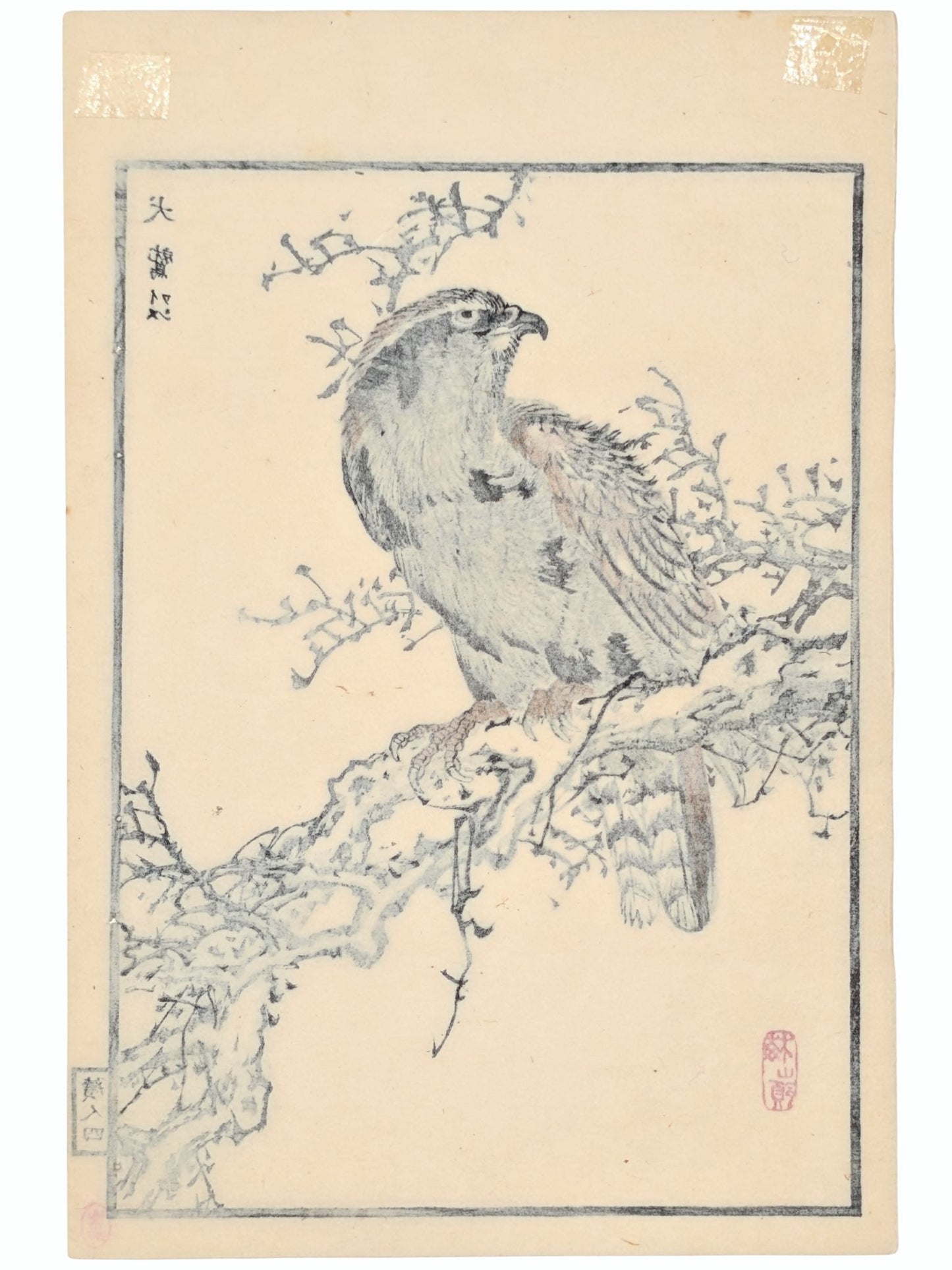 Estampe Japonaise de Kōno Bairei représentant un aigle royal sur une branche noueuse verso