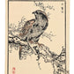 Estampe Japonaise de Kōno Bairei représentant un aigle royal sur une branche noueuse