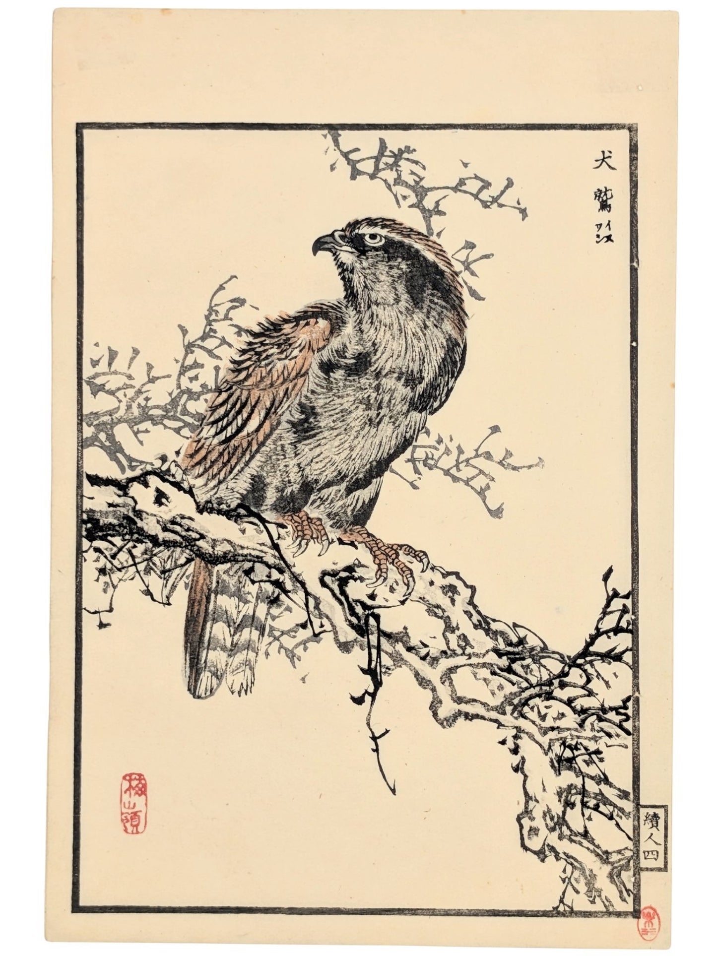 Estampe Japonaise de Kōno Bairei représentant un aigle royal sur une branche noueuse