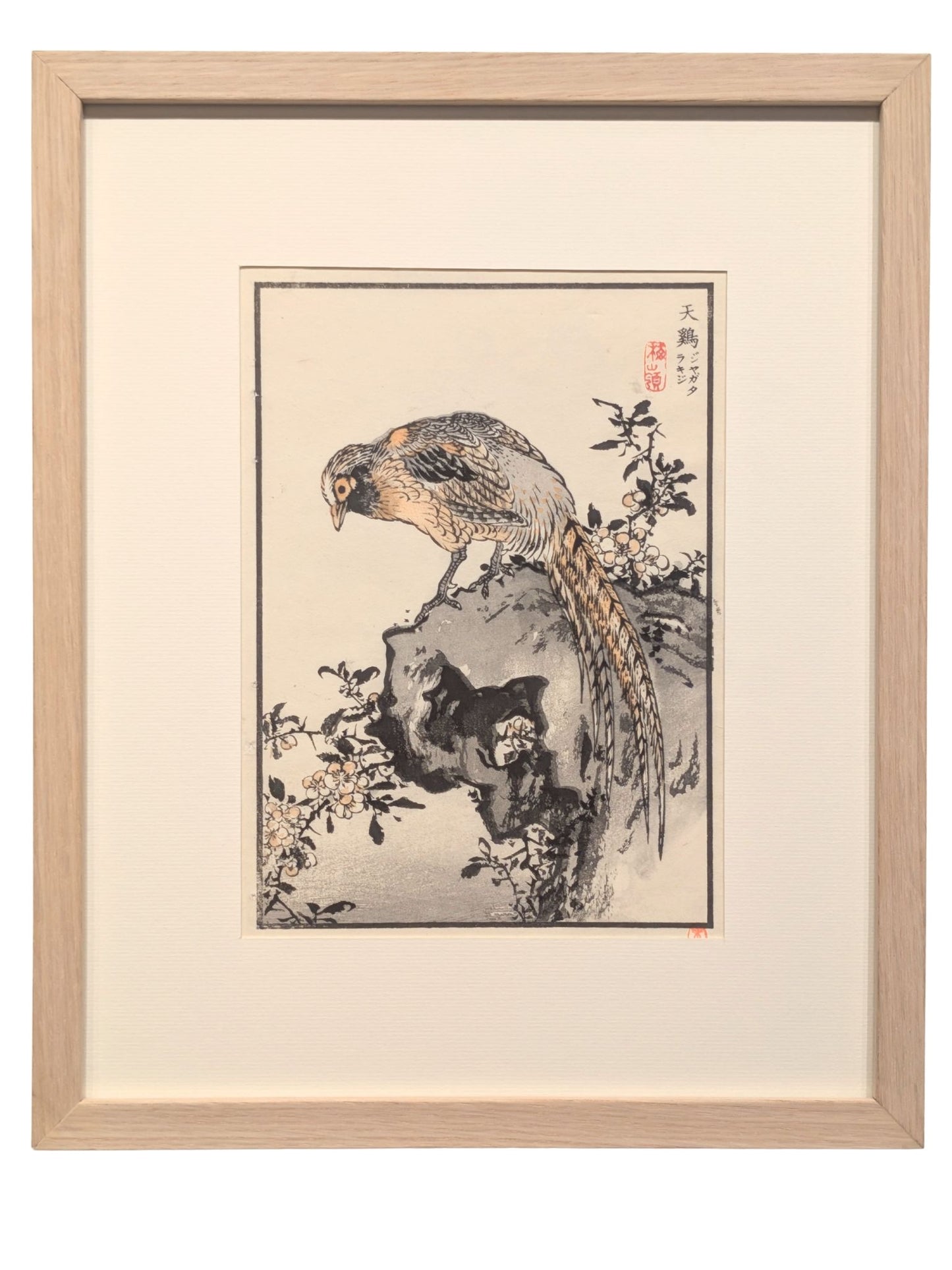 Un faisan posé sur un rocher fleuri se penche vers de petites fleurs blanches, dans une estampe japonaise issue de l’Album des cent oiseaux de Kōno Bairei, encadrée avec cadre en chêne