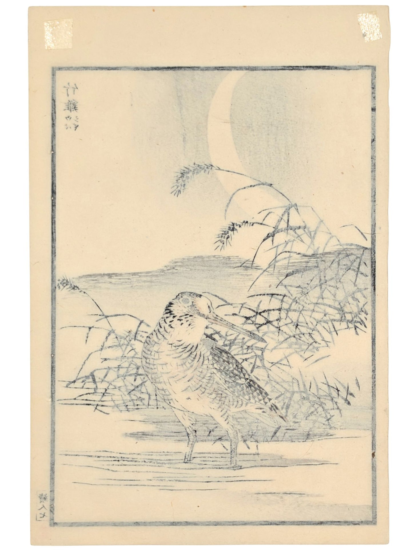 Estampe Japonaise de Kōno Bairei montrant un bécasseau de l'Anadyr au clair de lune, le verso