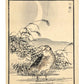 Estampe Japonaise de Kōno Bairei montrant un bécasseau de l'Anadyr au clair de lune