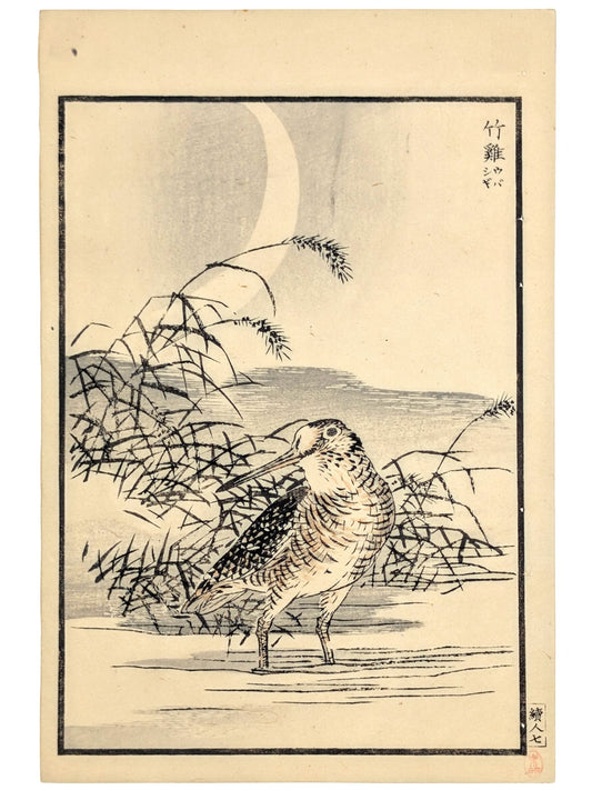 Estampe Japonaise de Kōno Bairei montrant un bécasseau de l'Anadyr au clair de lune