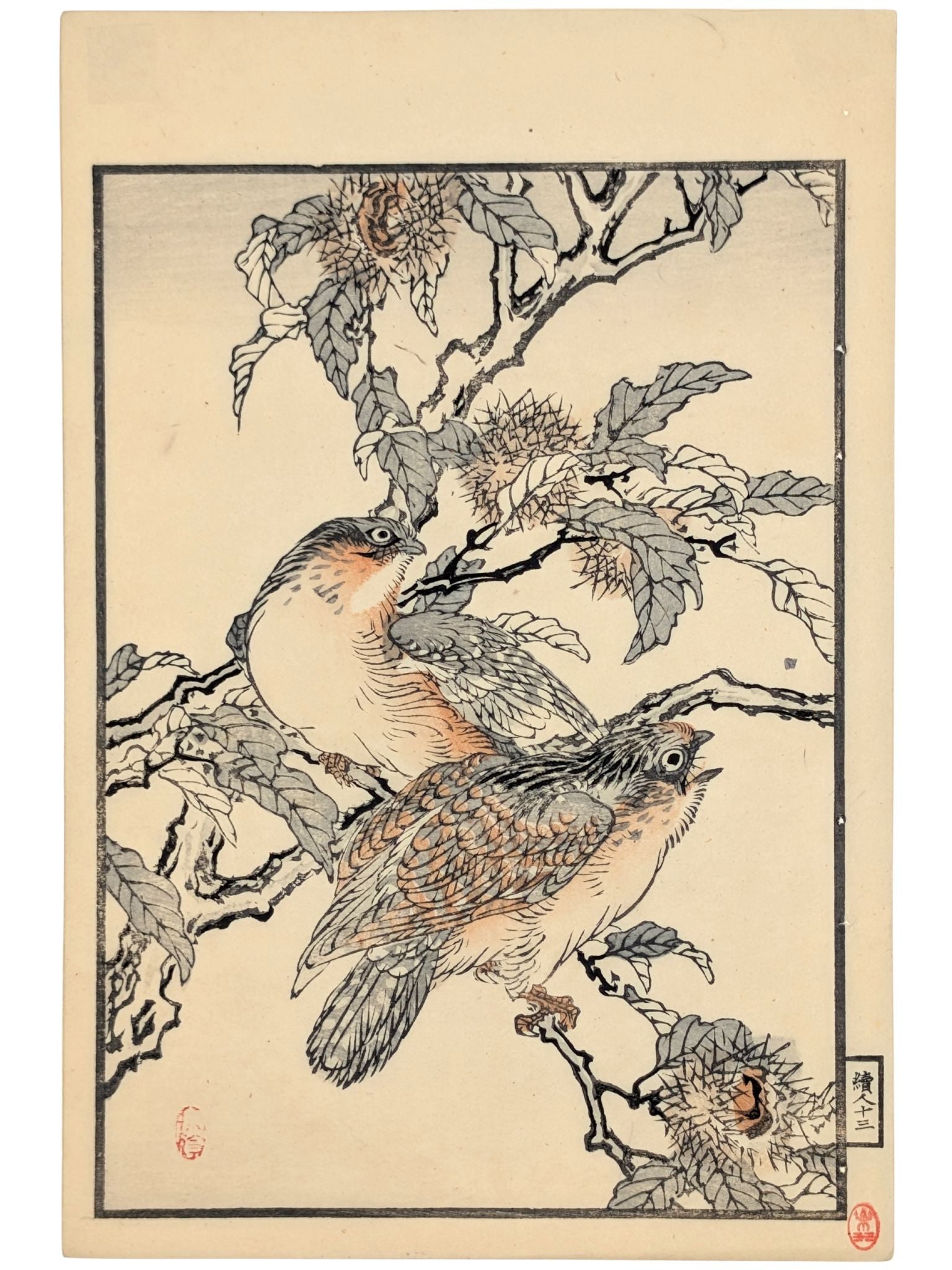 Estampe Japonaise de Kōno Bairei montrant deux engoulevents sur une branche de châtaignier