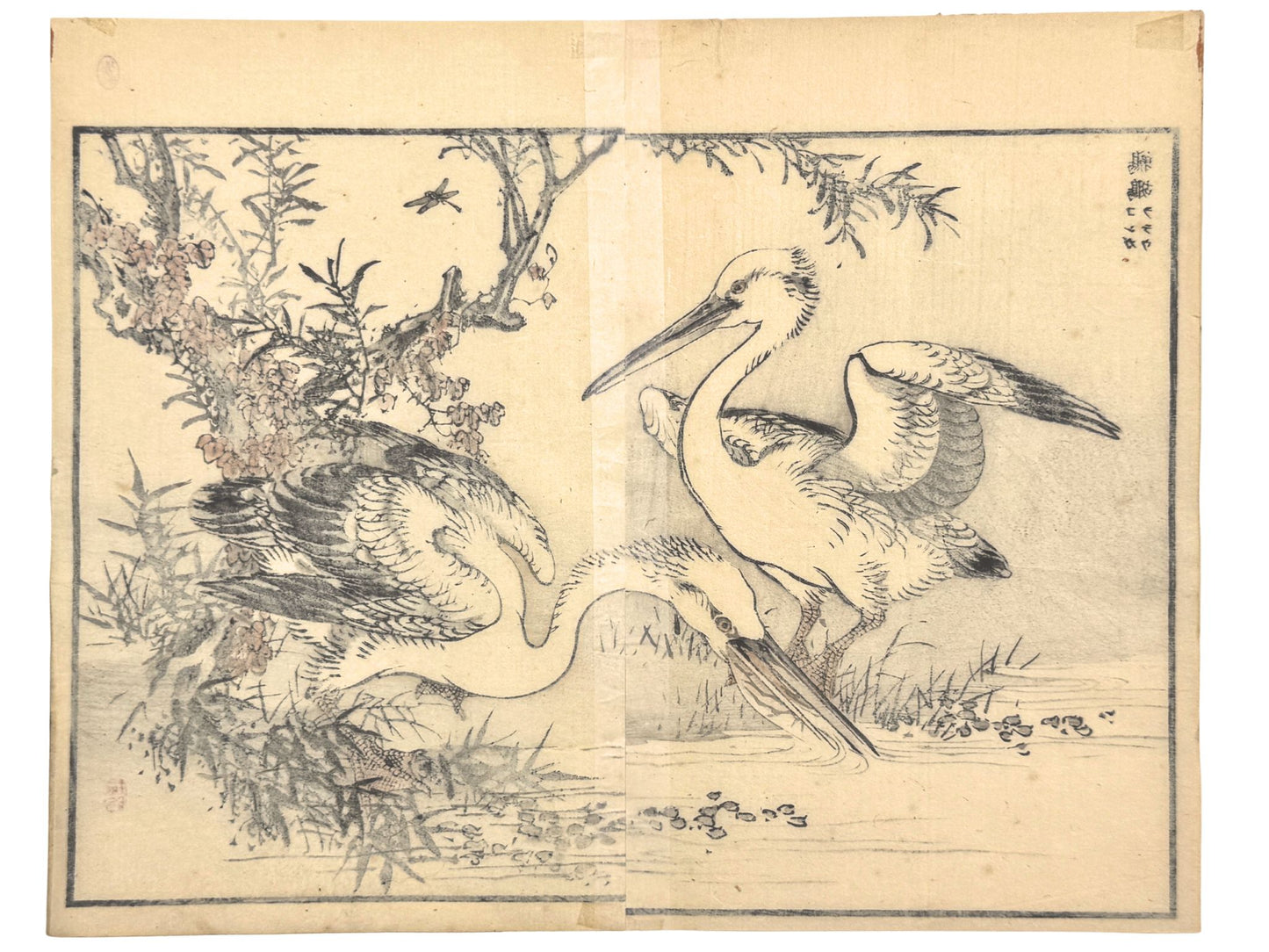 Estampe Japonaise de Kōno Bairei représentant deux pélicans blancs près d’un arbuste, le verso
