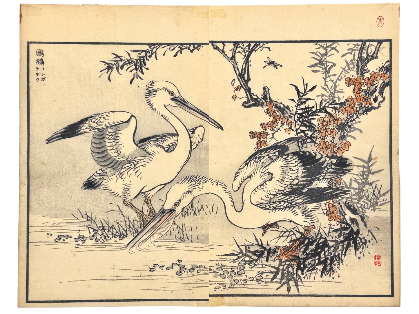 Estampe Japonaise de Kōno Bairei représentant deux pélicans blancs près d’un arbuste