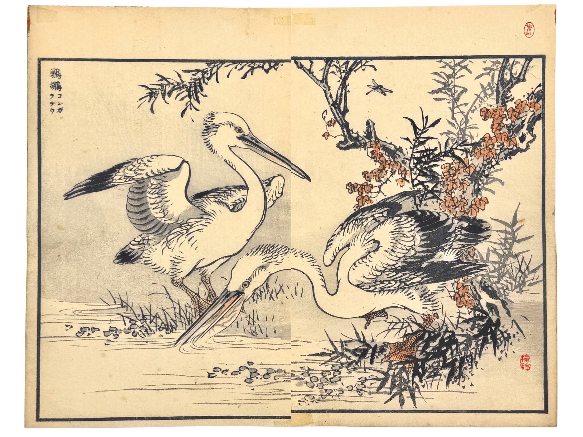 Estampe Japonaise de Kōno Bairei représentant deux pélicans blancs près d’un arbuste