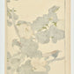 estampe japonaise couple d'oiseau et hibiscus à fleurs jaunes, dos de l'estampe
