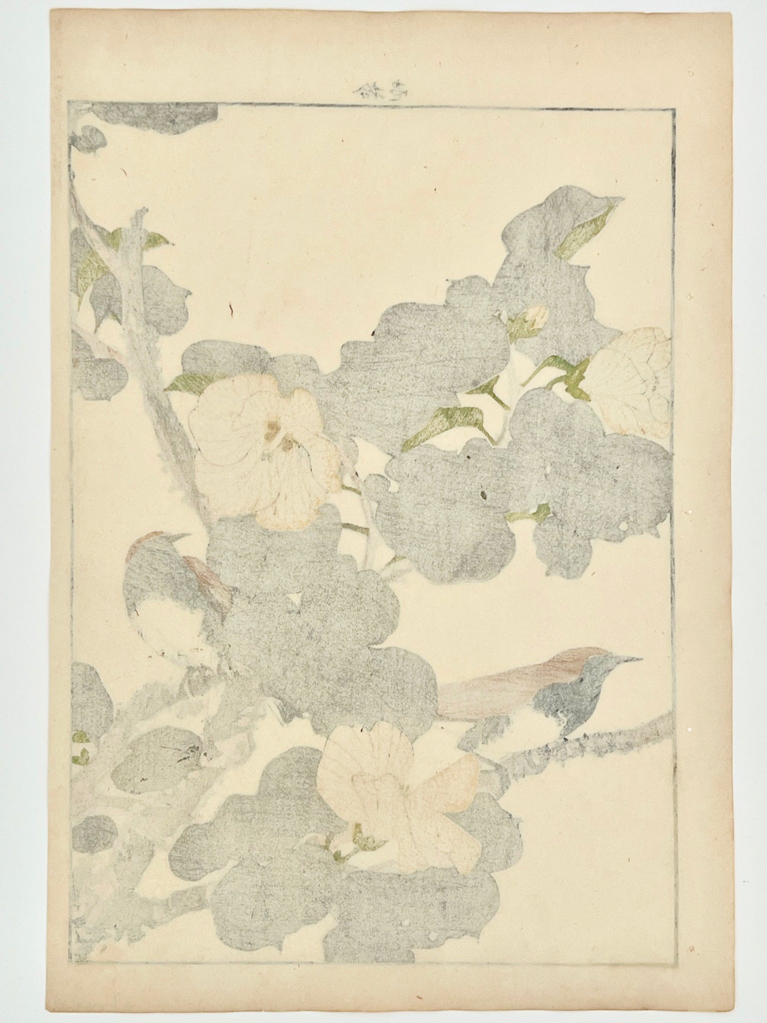 estampe japonaise couple d'oiseau et hibiscus à fleurs jaunes, dos de l'estampe