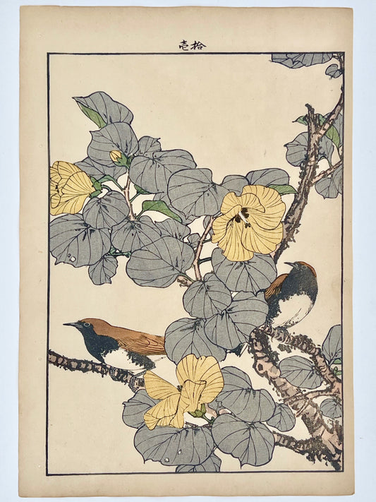 estampe japonaise couple d'oiseau et hibiscus à fleurs jaunes
