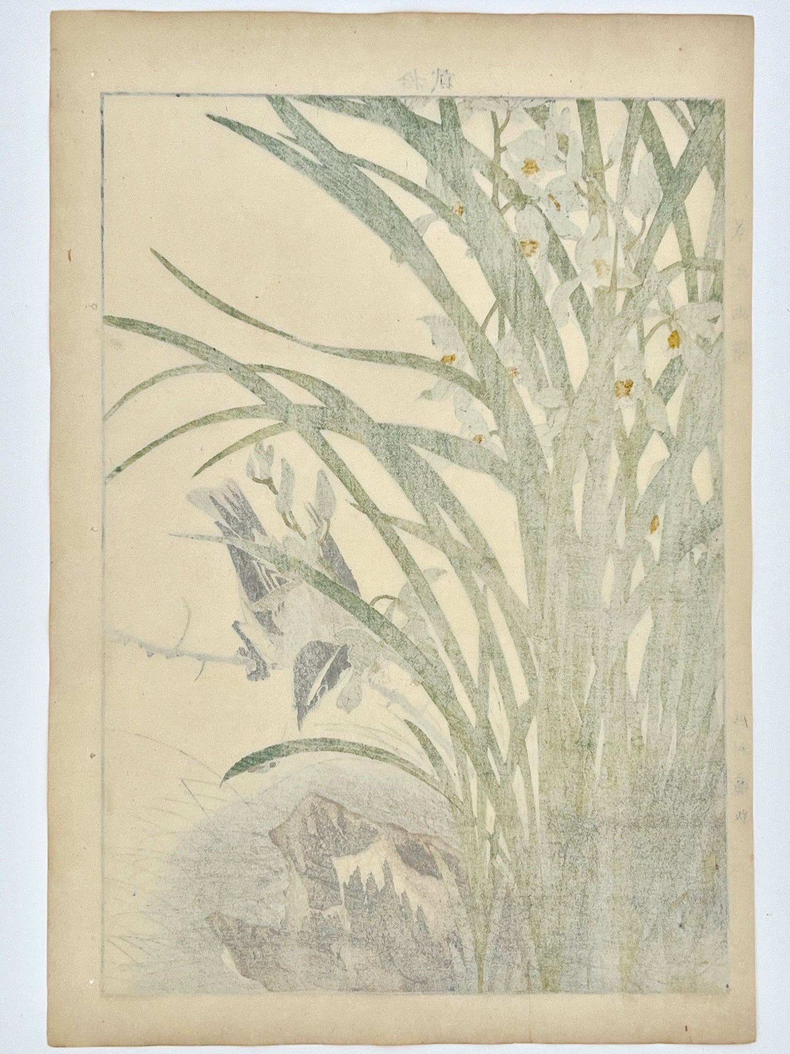 estampe japonaise oiseau sur une branche d'iris sauvage, dos de l'estampe