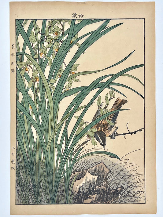 estampe japonaise oiseau sur une branche d'iris sauvage