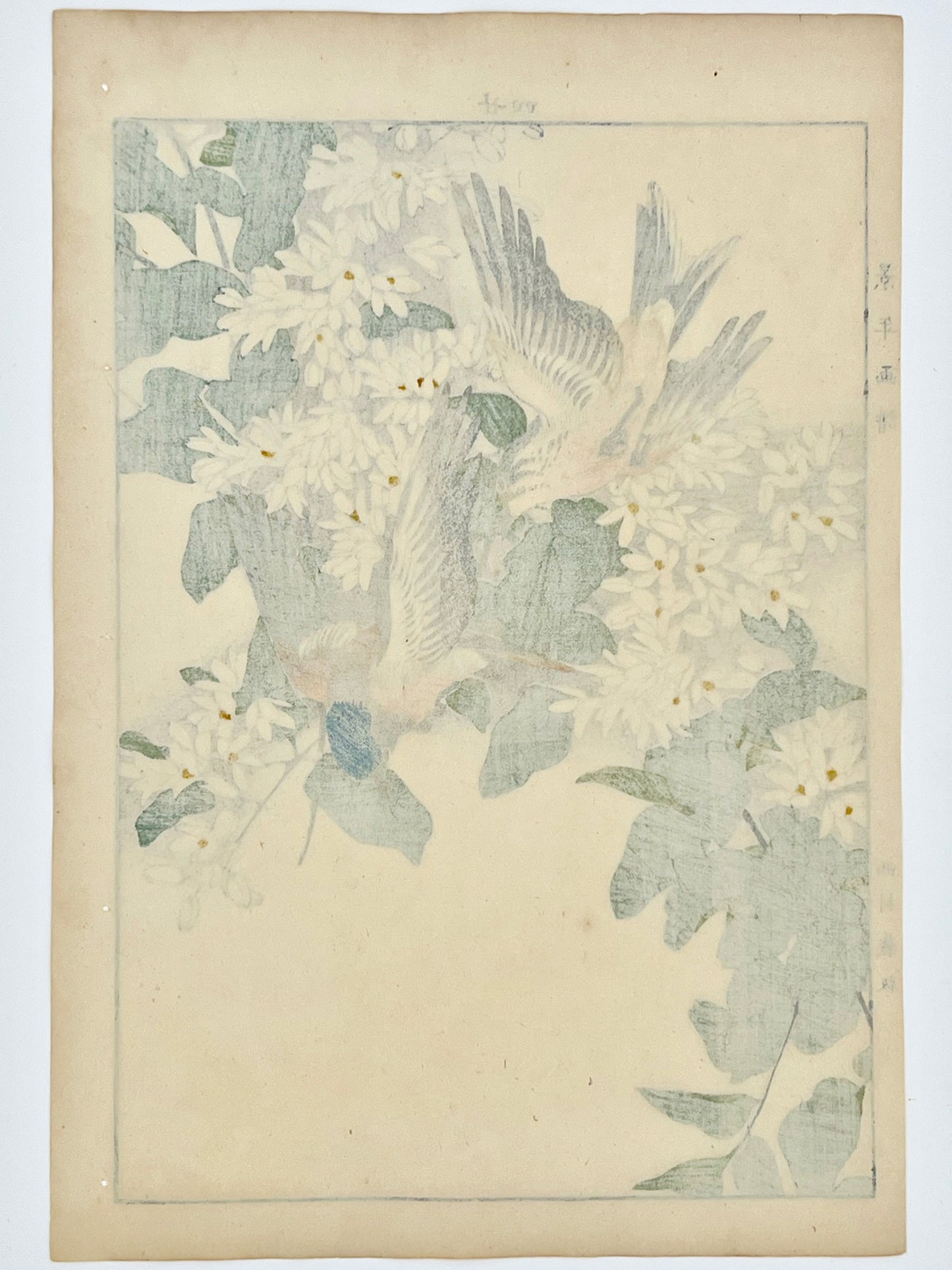 estampe japonaise couple d'oiseaux volant au dessus d'un arbsute à fleurs blanches, dos de l'estampe
