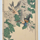 estampe japonaise couple d'oiseaux volant au dessus d'un arbsute à fleurs blanches