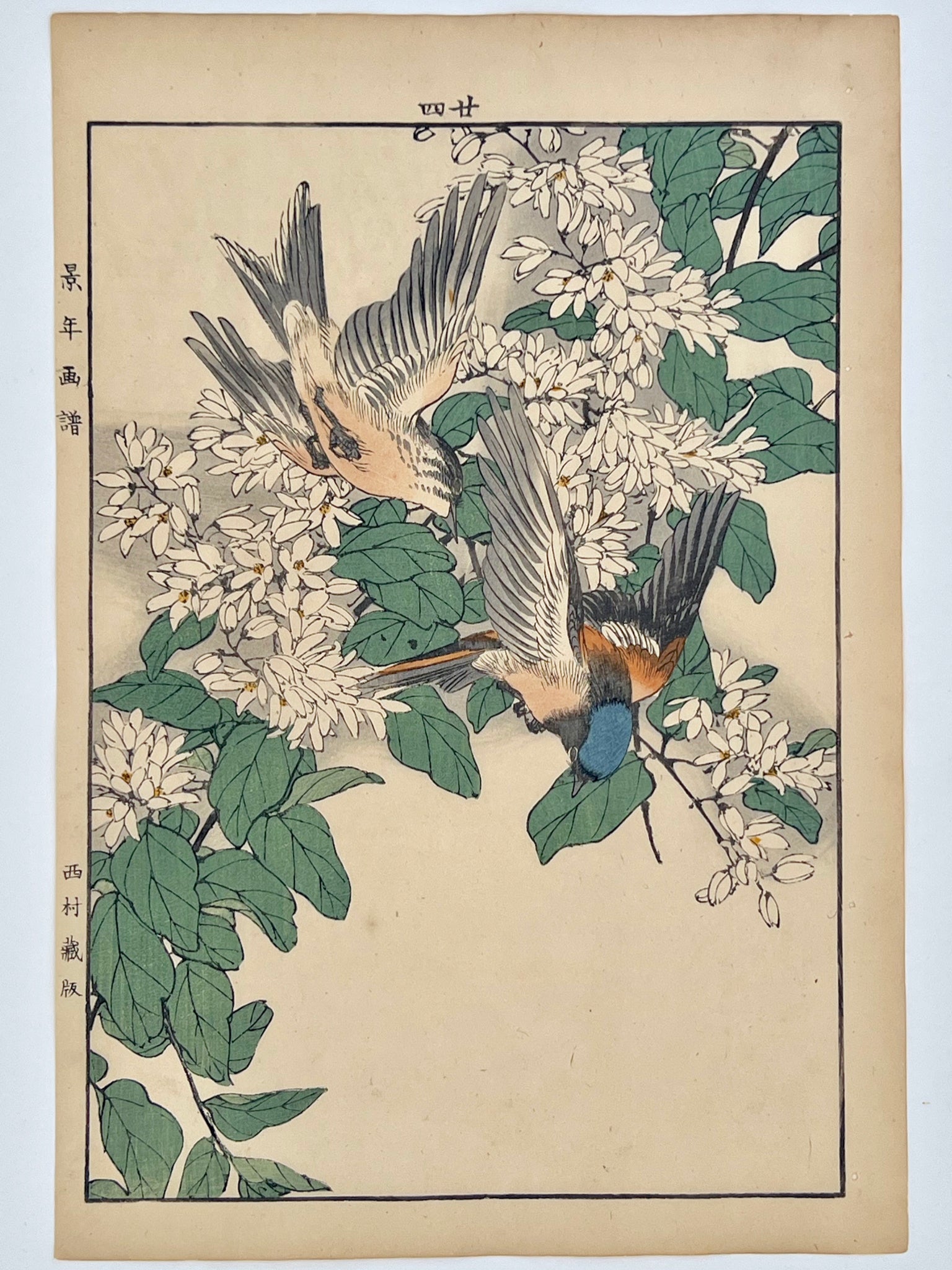 estampe japonaise couple d'oiseaux volant au dessus d'un arbsute à fleurs blanches