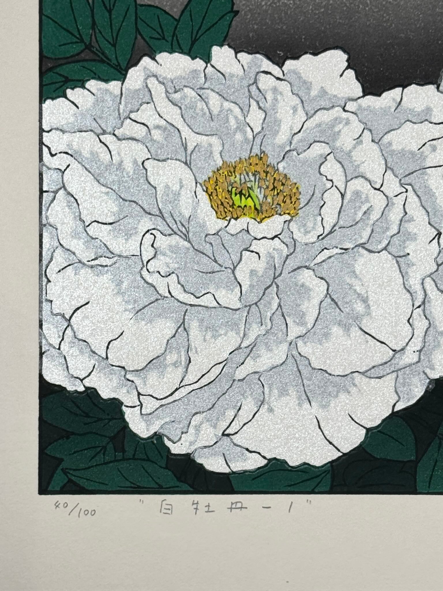 Estampe Japonaise de Kinoshita Taika représentant deux pivoines blanches rehaussées d'encre irisée et de peinture sur fond sombre, détail du numéro de série et du titre