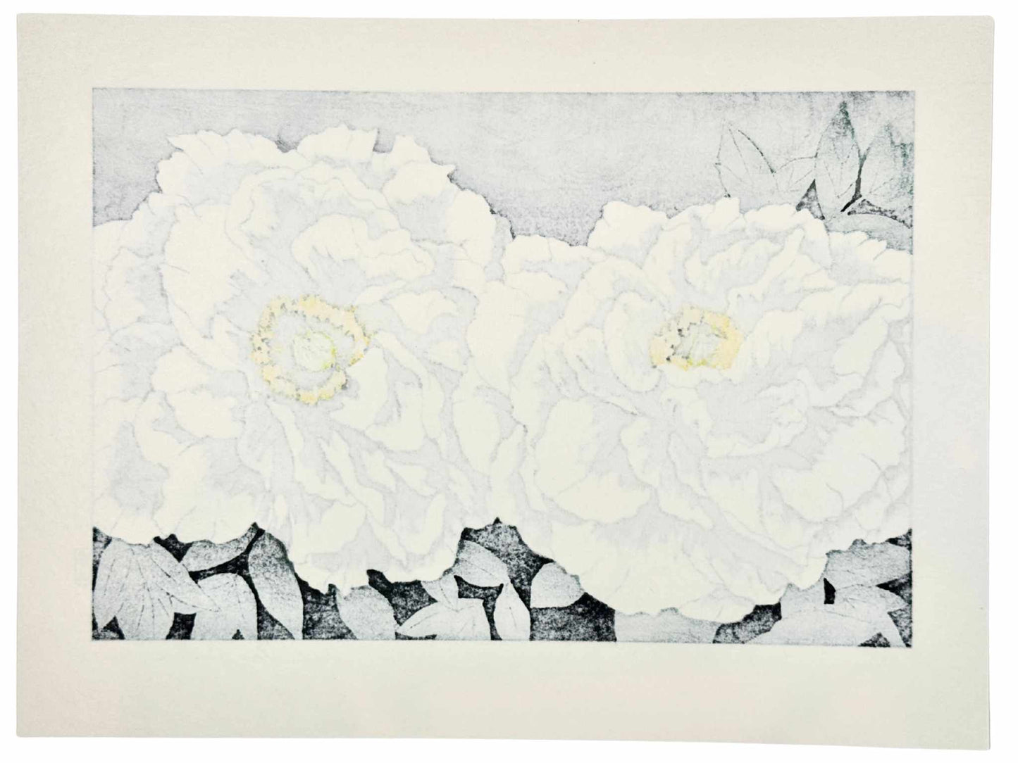 Estampe Japonaise de Kinoshita Taika représentant deux pivoines blanches rehaussées d'encre irisée et de peinture sur fond sombre, le verso