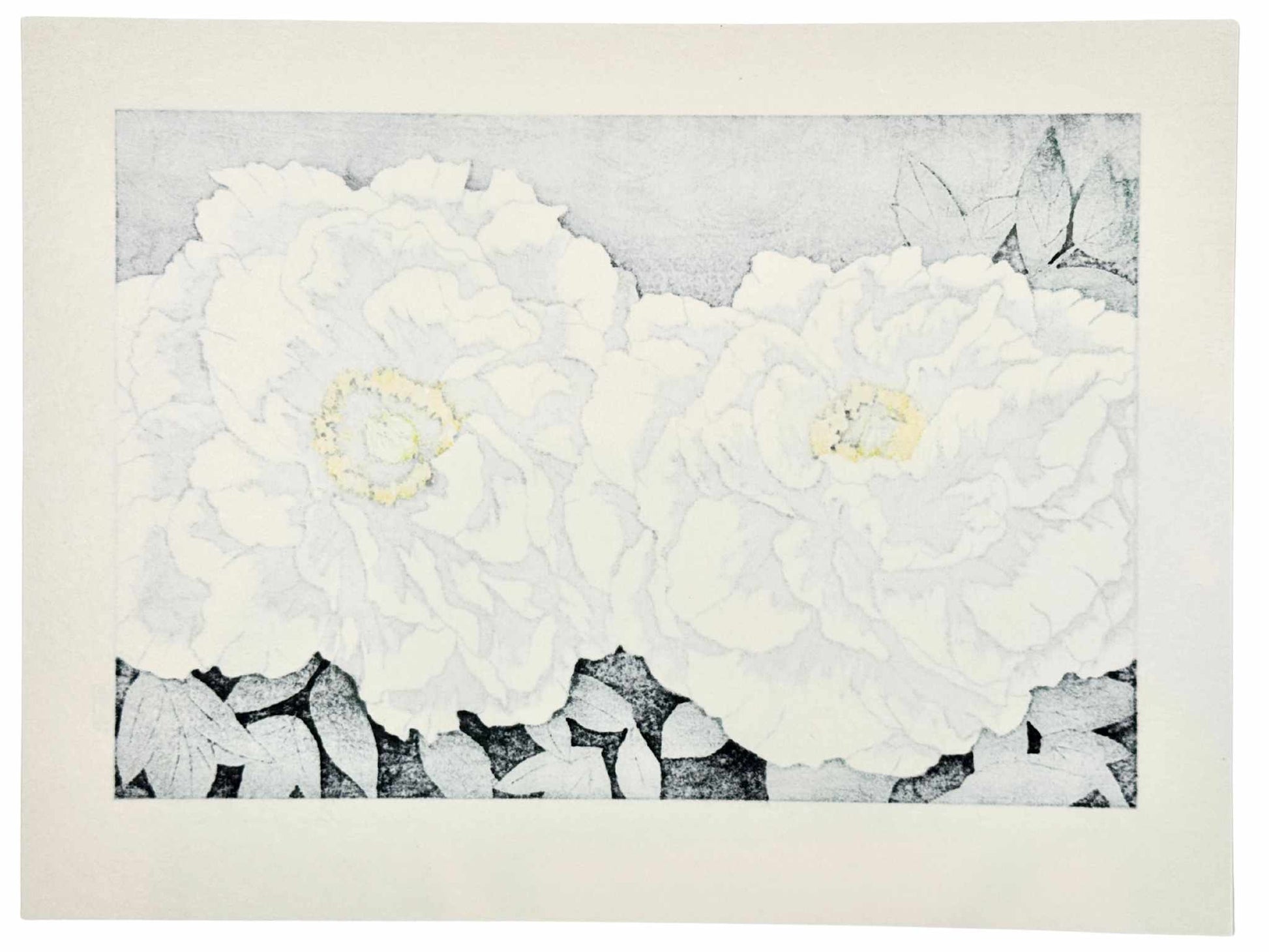 Estampe Japonaise de Kinoshita Taika représentant deux pivoines blanches rehaussées d'encre irisée et de peinture sur fond sombre, le verso