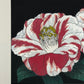 Estampe Japonaise de Kinoshita Taika représentant des camélias Ezo-nishiki rayés rouges et blancs sur fond noir intitulée Here Comes The Sun, détail du titre et du numéro de série