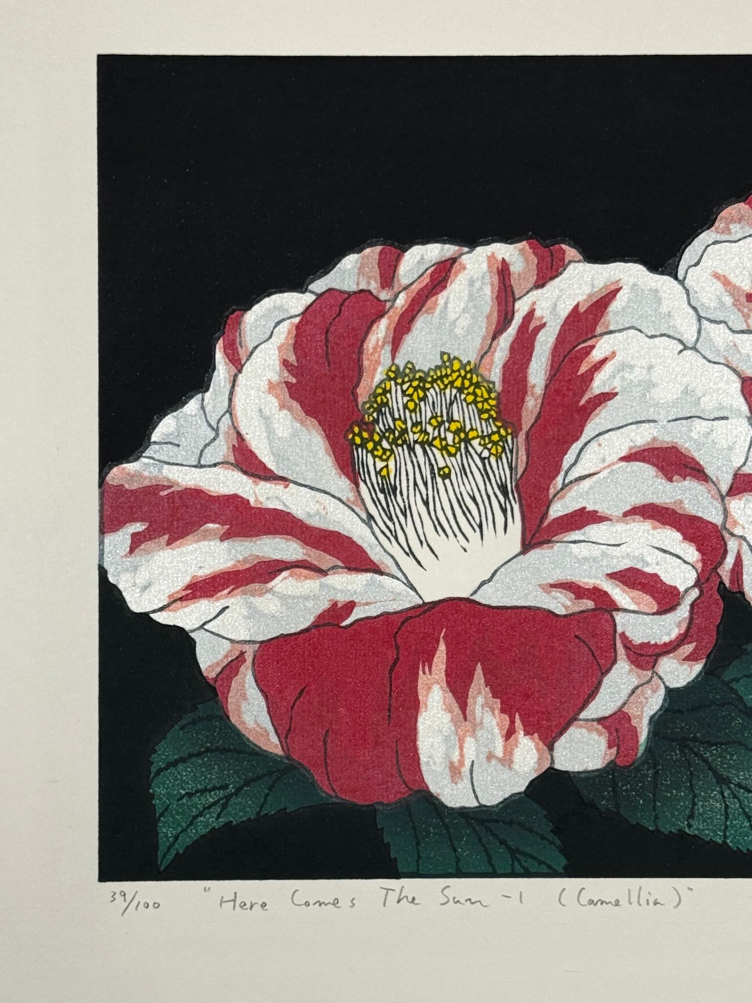 Estampe Japonaise de Kinoshita Taika représentant des camélias Ezo-nishiki rayés rouges et blancs sur fond noir intitulée Here Comes The Sun, détail du titre et du numéro de série