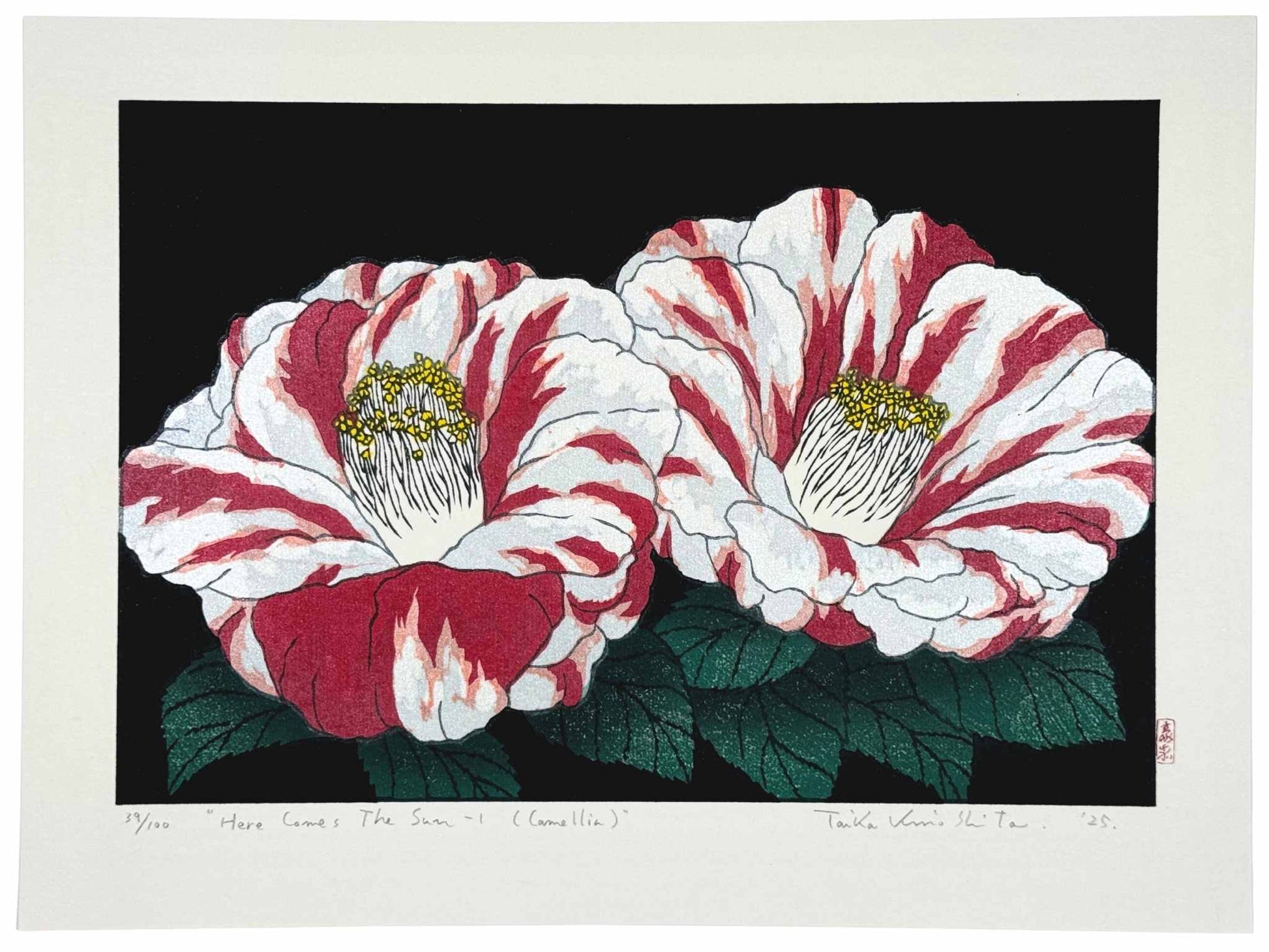 Estampe Japonaise de Kinoshita Taika représentant des camélias Ezo-nishiki rayés rouges et blancs sur fond noir intitulée Here Comes The Sun