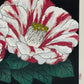 Estampe Japonaise de Kinoshita Taika représentant des camélias Ezo-nishiki rayés rouges et blancs sur fond noir intitulée Here Comes The Sun, détail de la signature et du sceau