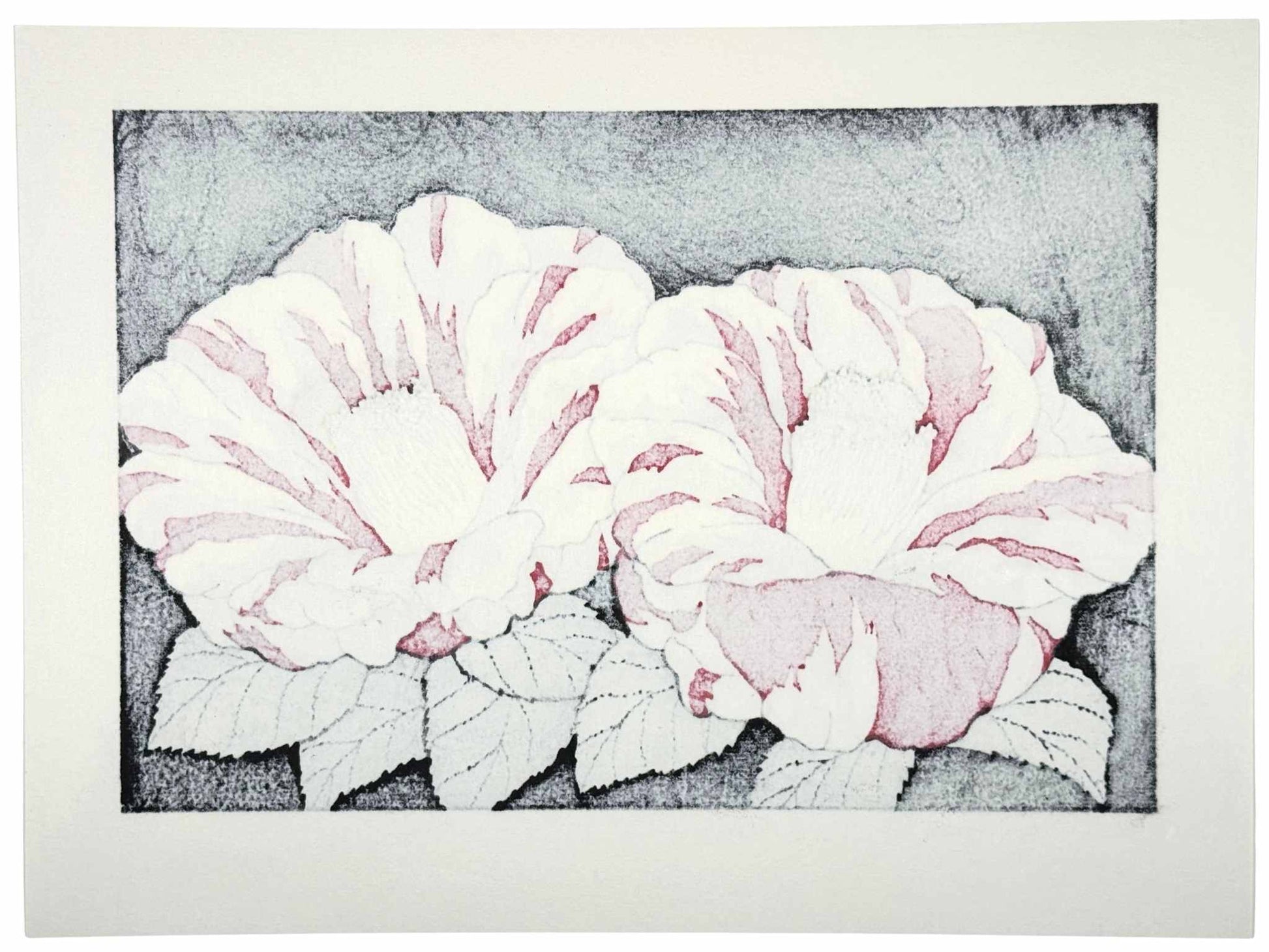 Estampe Japonaise de Kinoshita Taika représentant des camélias Ezo-nishiki rayés rouges et blancs sur fond noir intitulée Here Comes The Sun, le verso