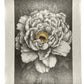 Lithographie japonaise de Kinoshita Taika représentant une pivoine du sanctuaire Izumo-taisha sur papier argenté