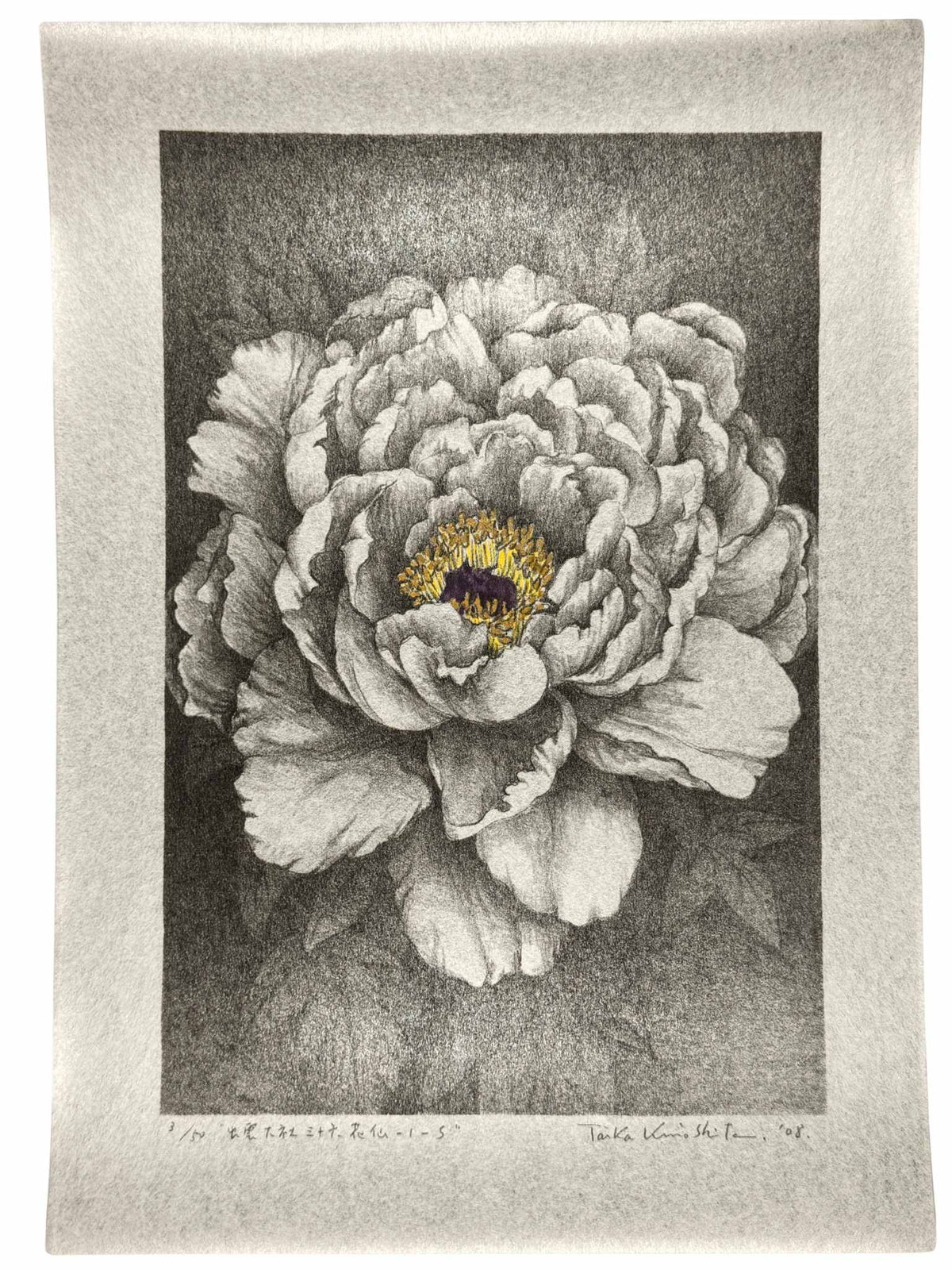 Lithographie japonaise de Kinoshita Taika représentant une pivoine du sanctuaire Izumo-taisha sur papier argenté