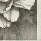Lithographie japonaise de Kinoshita Taika représentant une pivoine du sanctuaire Izumo-taisha sur papier argenté, détail de la signature