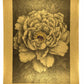 Lithographie japonaise de Kinoshita Taika représentant une pivoine du sanctuaire Izumo-taisha sur papier doré
