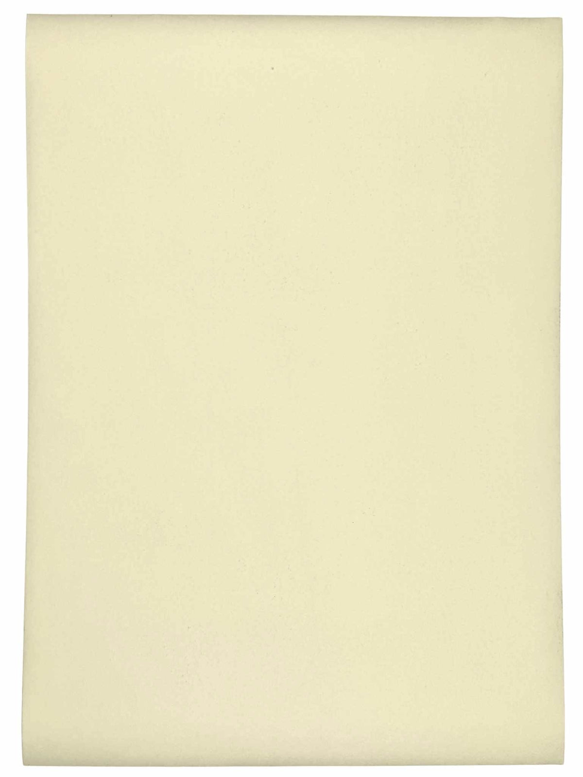Lithographie japonaise de Kinoshita Taika représentant une pivoine du sanctuaire Izumo-taisha sur papier argenté, le verso
