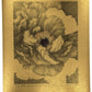 Lithographie japonaise en petit format de Kinoshita Taika représentant une pivoine du sanctuaire Izumo-taisha sur papier doré