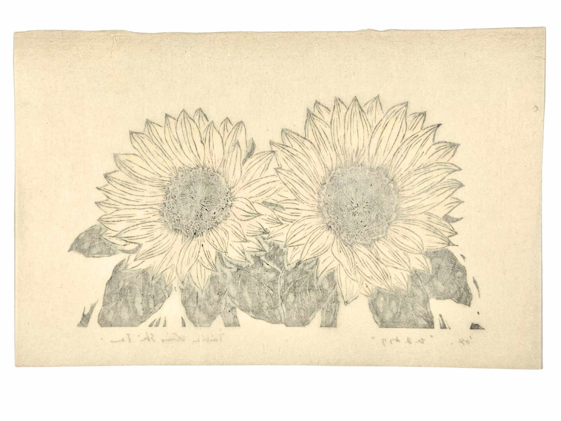 Estampe Japonaise de Kinoshita Taika représentant deux tournesols peints, le verso