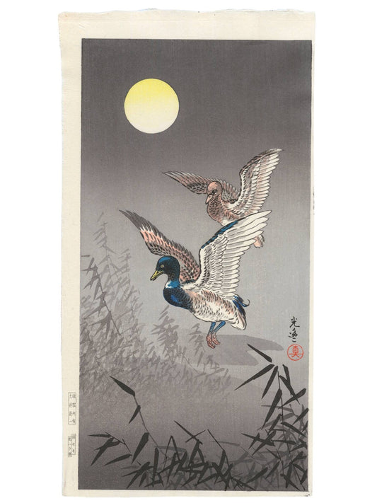 estampe japonaise de Koitsu, couple de canards volant au dessus des roseaux une nuit de pleine lune.