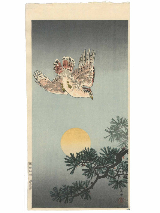 Estampe Japonaise de Tsuchiya Kōitsu représentant un faucon en plein vol au-dessus de la pleine lune et d'une branche de pin