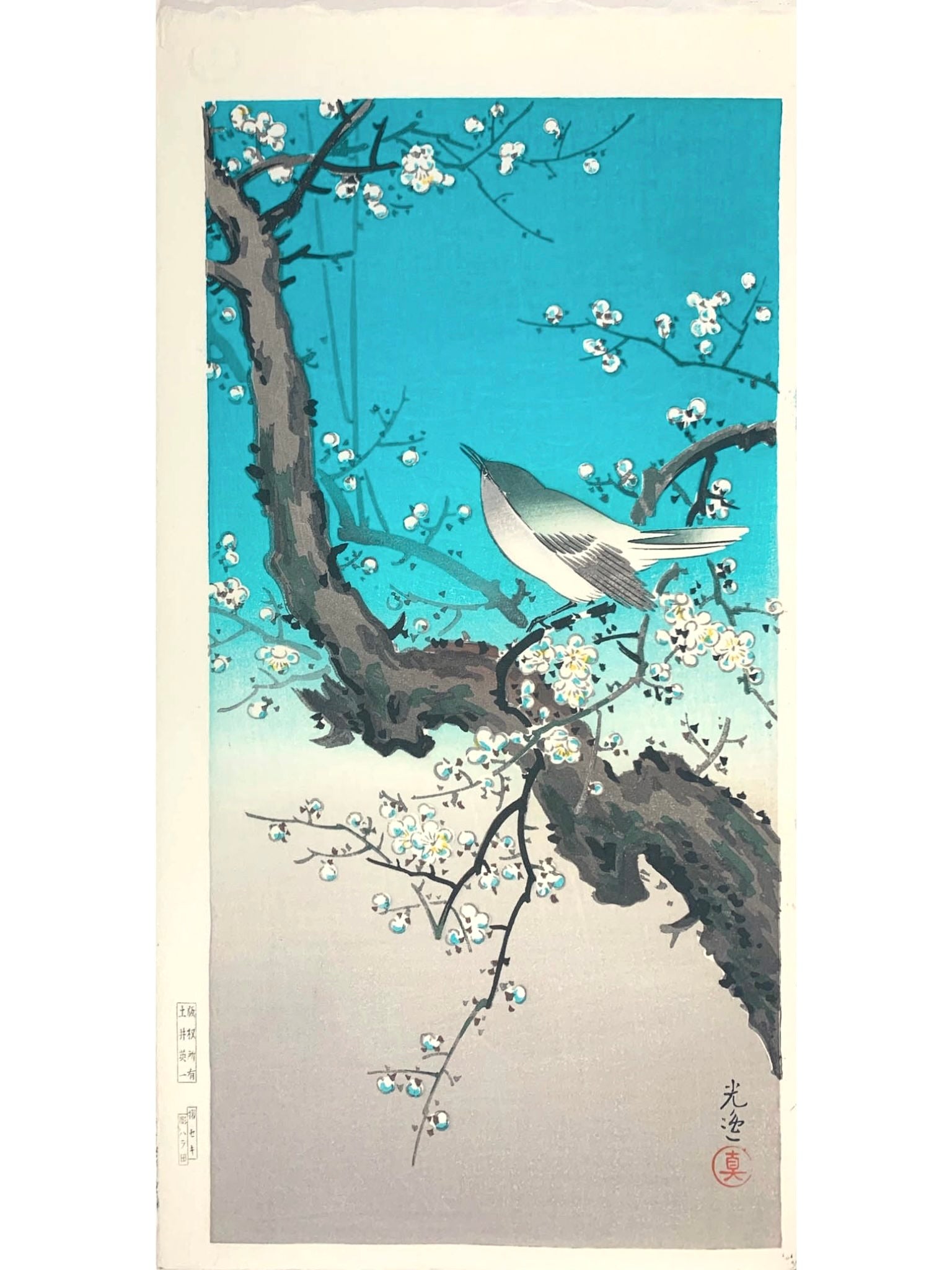 estampe japonaise de Tsuchiya Koitsu, une fauvette perchée sur une branche de prunier en pleine floraison