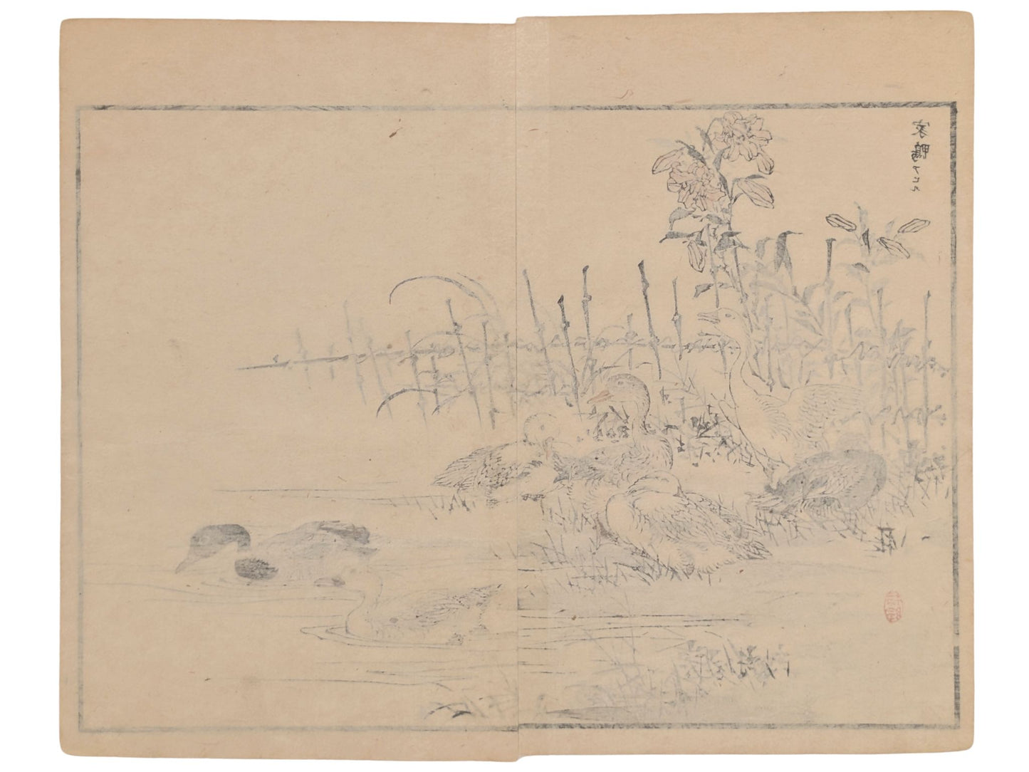Estampe japonaise de Kōno Bairei représentant un groupe de canards au bord d’un étang, avec des lis et une clôture, style naturaliste de l’ère Meiji. Dos estampe.