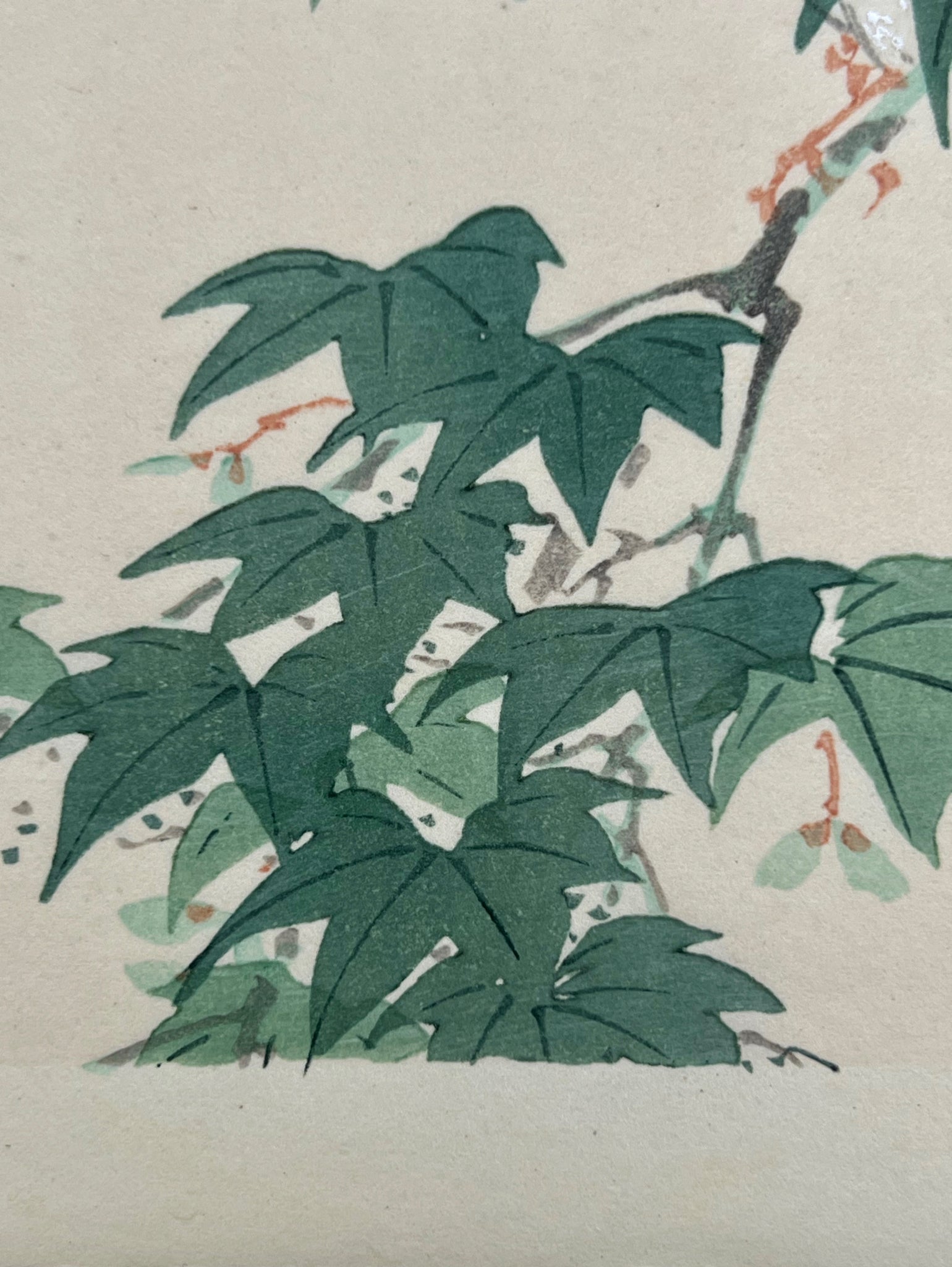 estampe japonaise oiseau sur une branche d'érable vert, les feuilles vertes d'érable