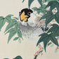 estampe japonaise oiseau sur une branche d'érable vert, sa tete noire et son bec jaune