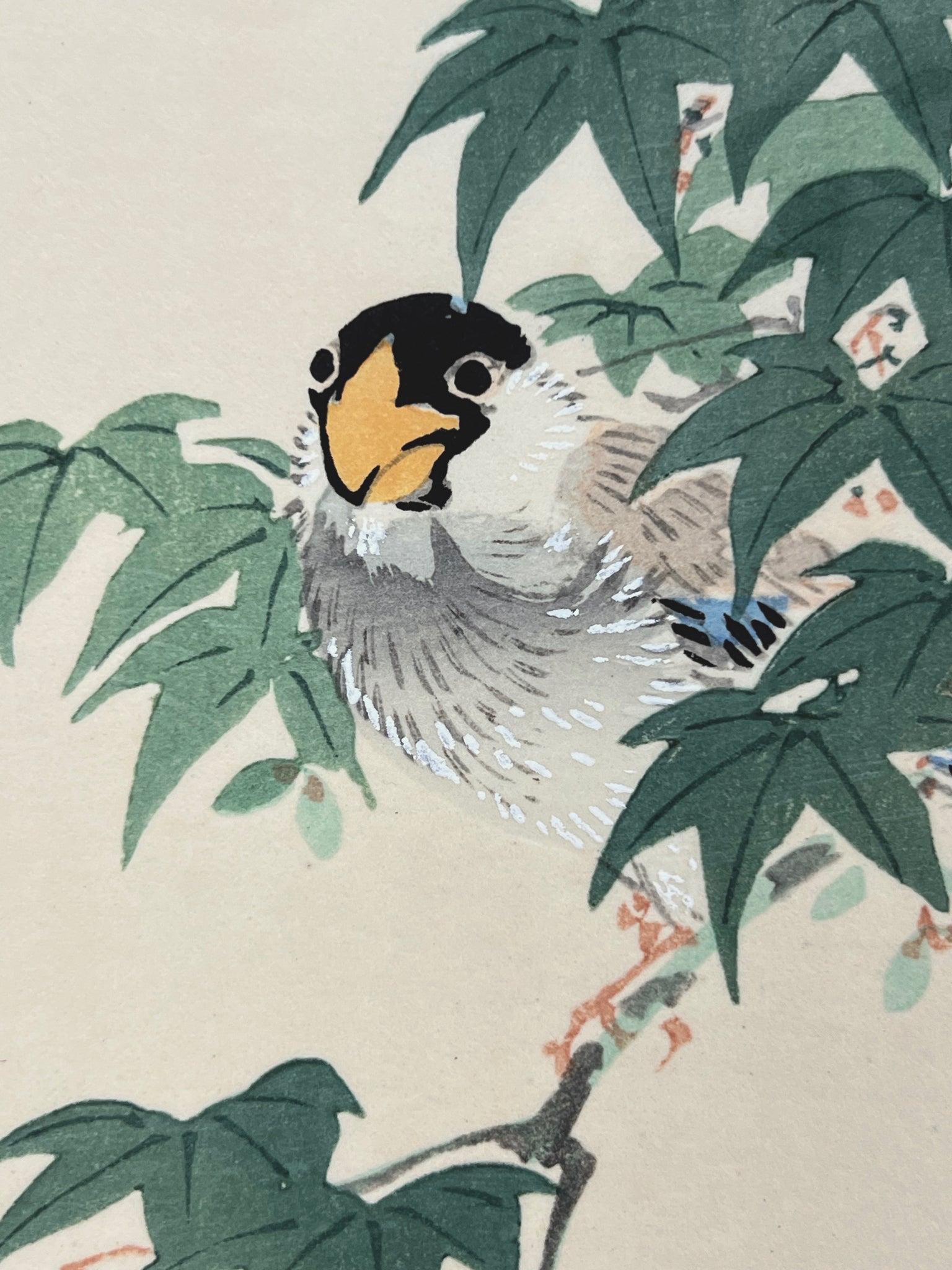 estampe japonaise oiseau sur une branche d'érable vert, sa tete noire et son bec jaune