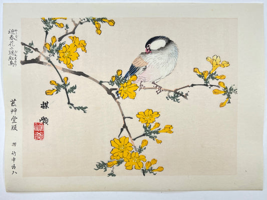 estampe japonaise oiseau et fleurs jaunes