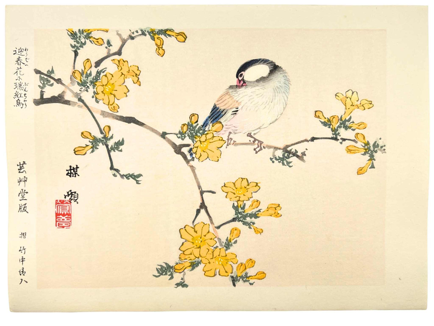 estampe japonaise kacho-ga de Kono Bairei oiseau sur une branche d'arbres aux fleurs jaunes