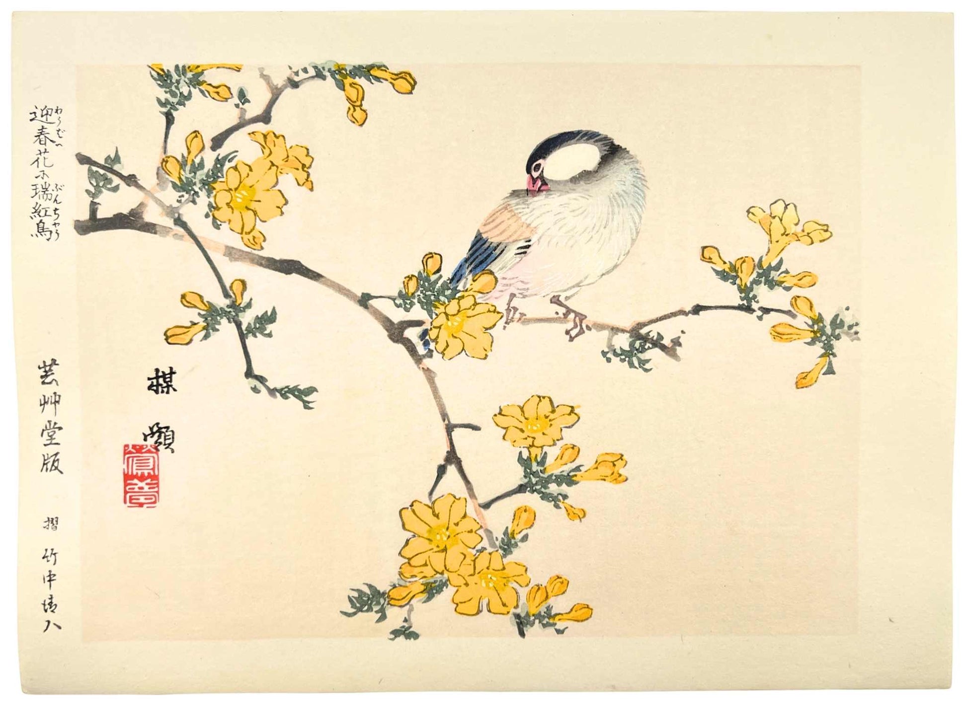 estampe japonaise kacho-ga de Kono Bairei oiseau sur une branche d'arbres aux fleurs jaunes