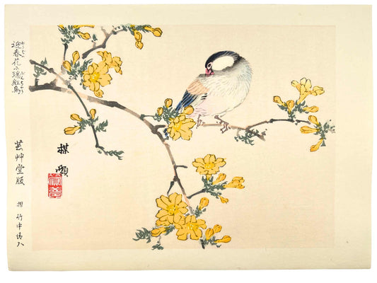 estampe japonaise kacho-ga de Kono Bairei oiseau sur une branche d'arbres aux fleurs jaunes