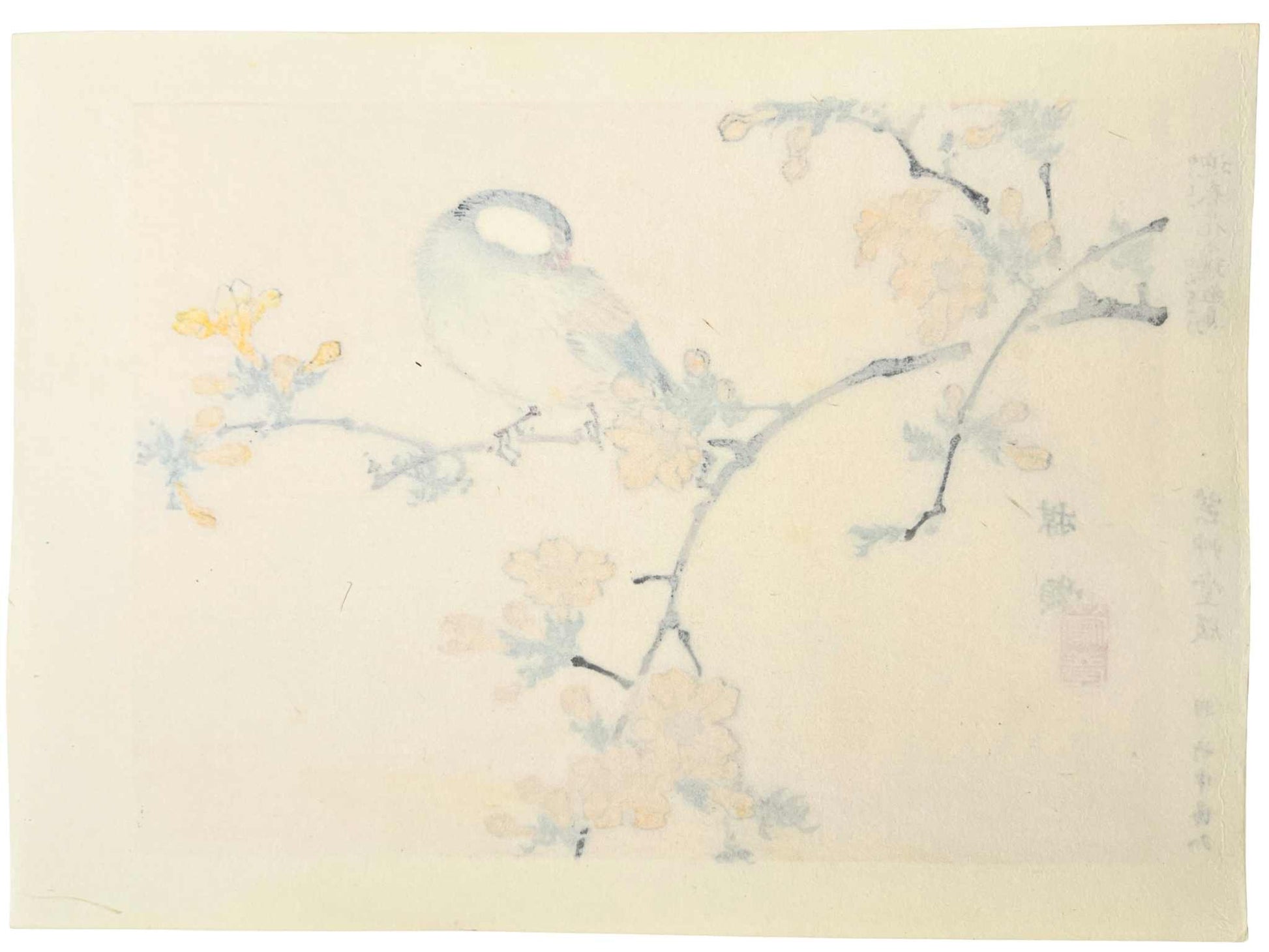 estampe japonaise kacho-ga de Kono Bairei oiseau sur une branche d'arbres aux fleurs jaunes, le verso