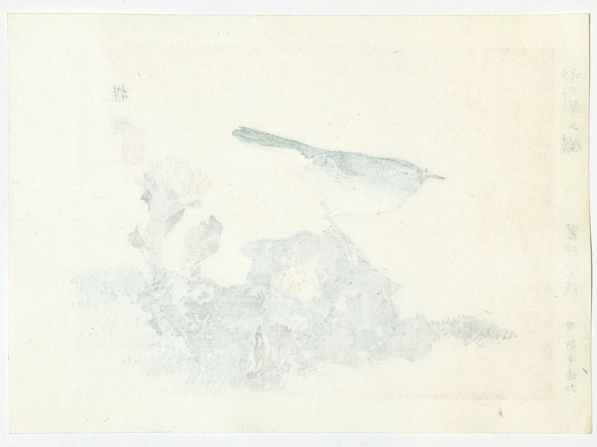 Estampe Japonaise de Kono Bairei, oiseau, Bouscarle chanteuse sur un rocher, dos de l'estampe