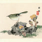 Estampe Japonaise de Kono Bairei, oiseau, Bouscarle chanteuse sur un rocher