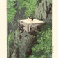 Estampe Japonaise d'un Onsen dans la montagne, deux femmes se baignent, nature érables vert